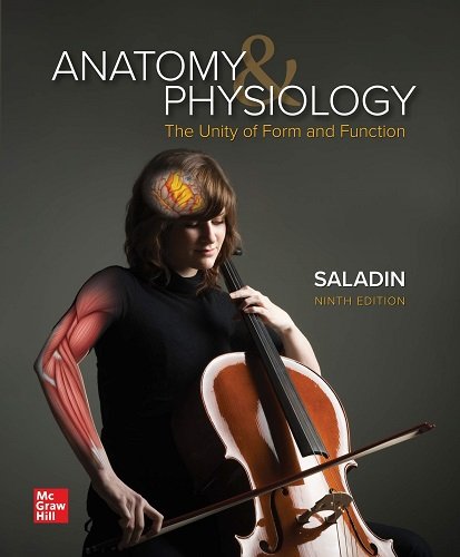 Test Bank for Anatomy and Physiology The Unity of Form and Function 9th Edition Kenneth Saladin